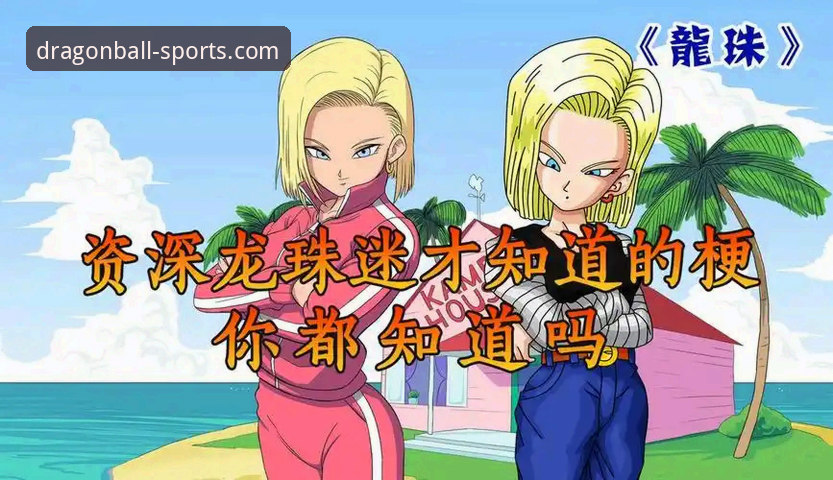 龙珠体育下载安装 资深用户晓婷分享:龙珠体育APP官方下载安装与深度使用心得